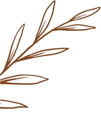 /banner-one-shape