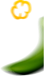 Shape