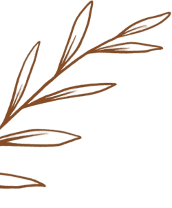 coffee-gallery-shape