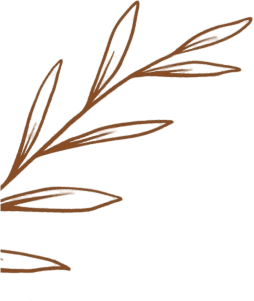 coffee-house-one-shpae