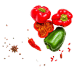 popular-dishe-shape